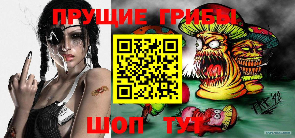 Тихорецк  Псилоцибиновые грибы мухоморы  Вход с VPN 